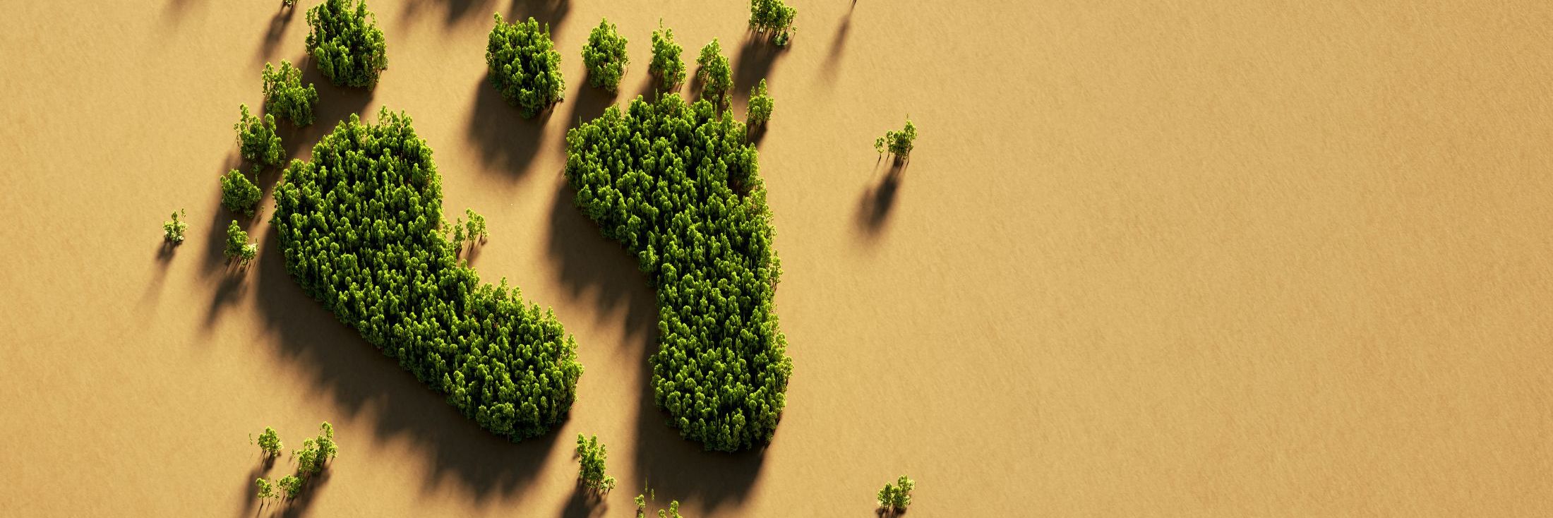 Header image background